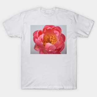 Peony flower display T-Shirt